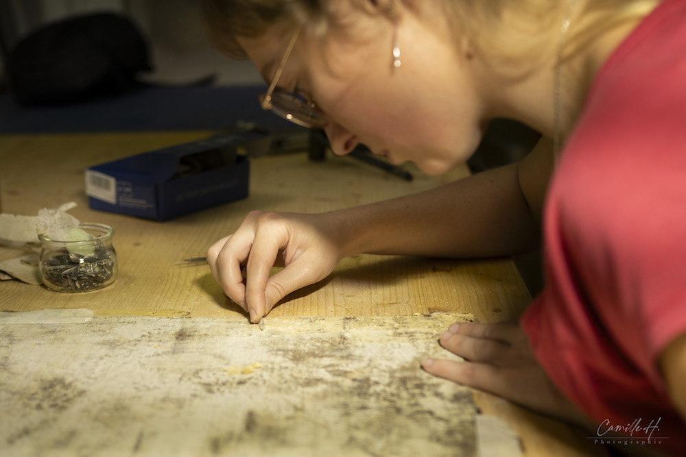 Atelier ronjon restaurateur de tableaux Montélimar, Viviers précision